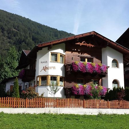 Ferienhaus Ahorn Neustift im Stubaital Kültér fotó